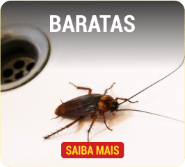 barata